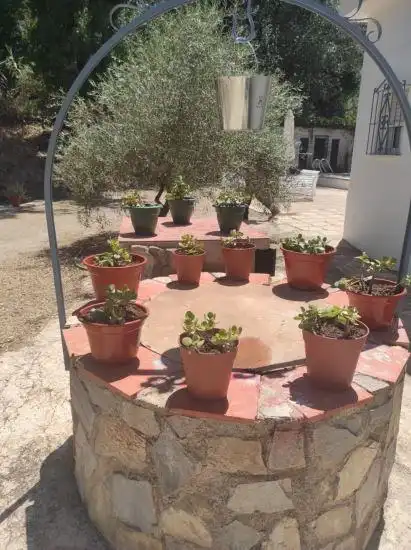 Jardí de Casa o xalet en venda en Jaén