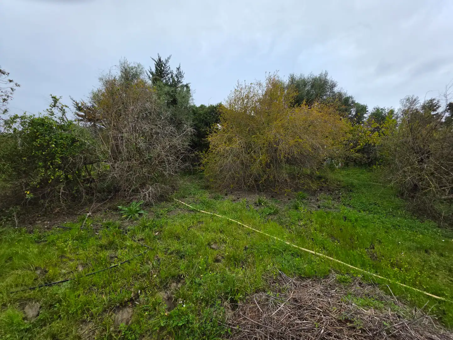 Terreni e lotti in vendita a La Granja - La Colina - Los Pastores, imagen 18