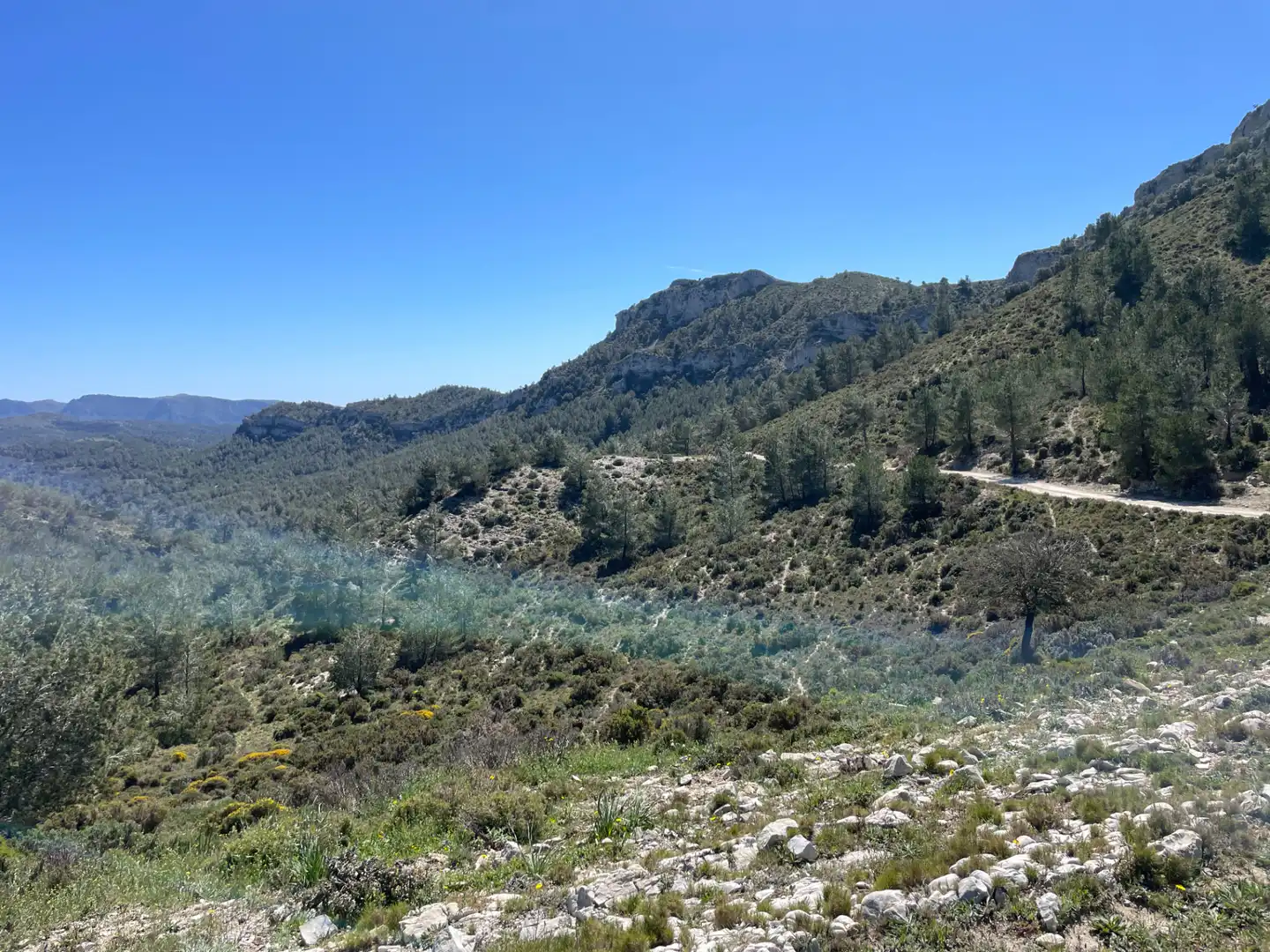 Terrain rustique à vendre à Tivissa, imagen 21