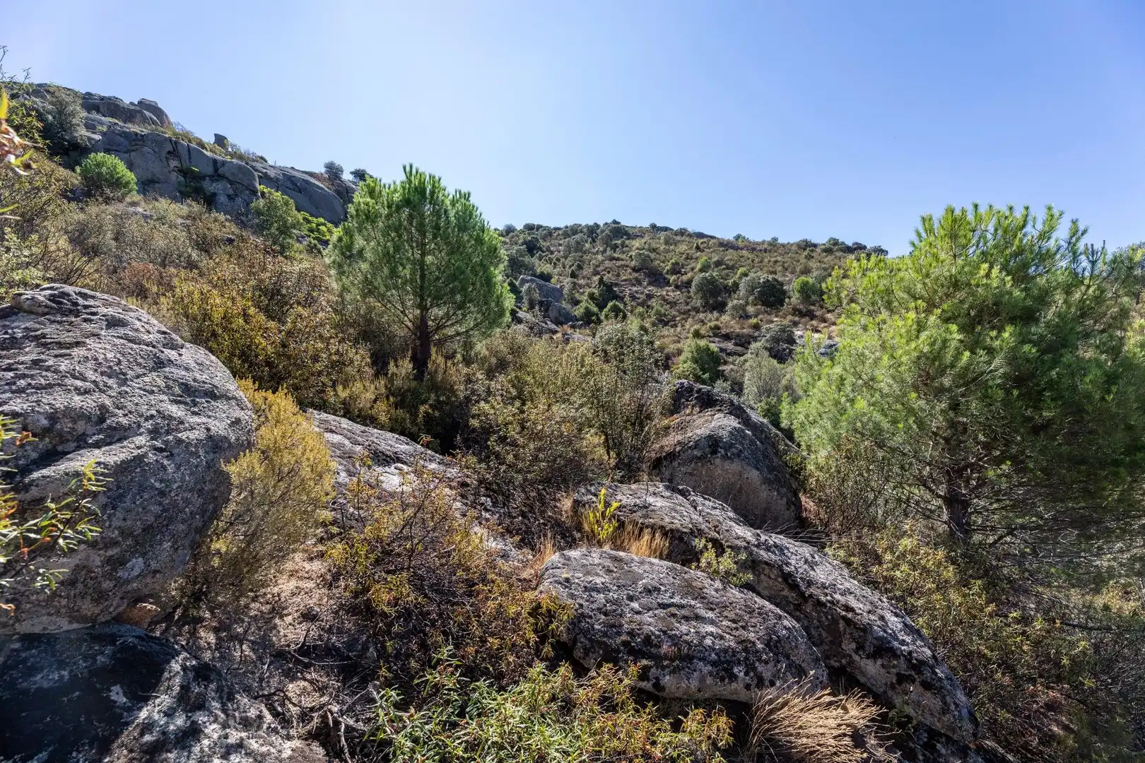 Houses for sale in Collado Villalba  with Heating, Private garden and Community pool