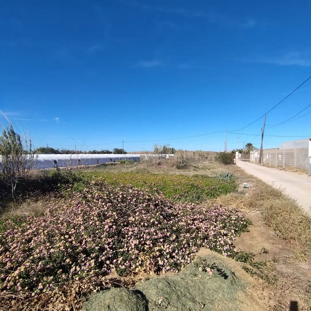 Rural land for sale in Bega de Mar, imagen 4