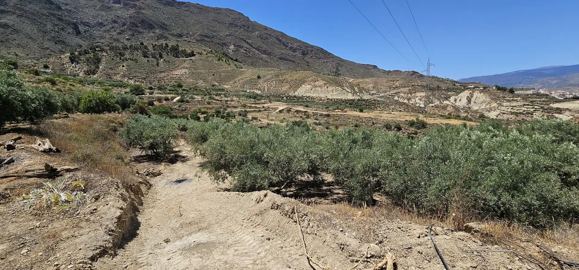 Terreno en venta en Bentarique