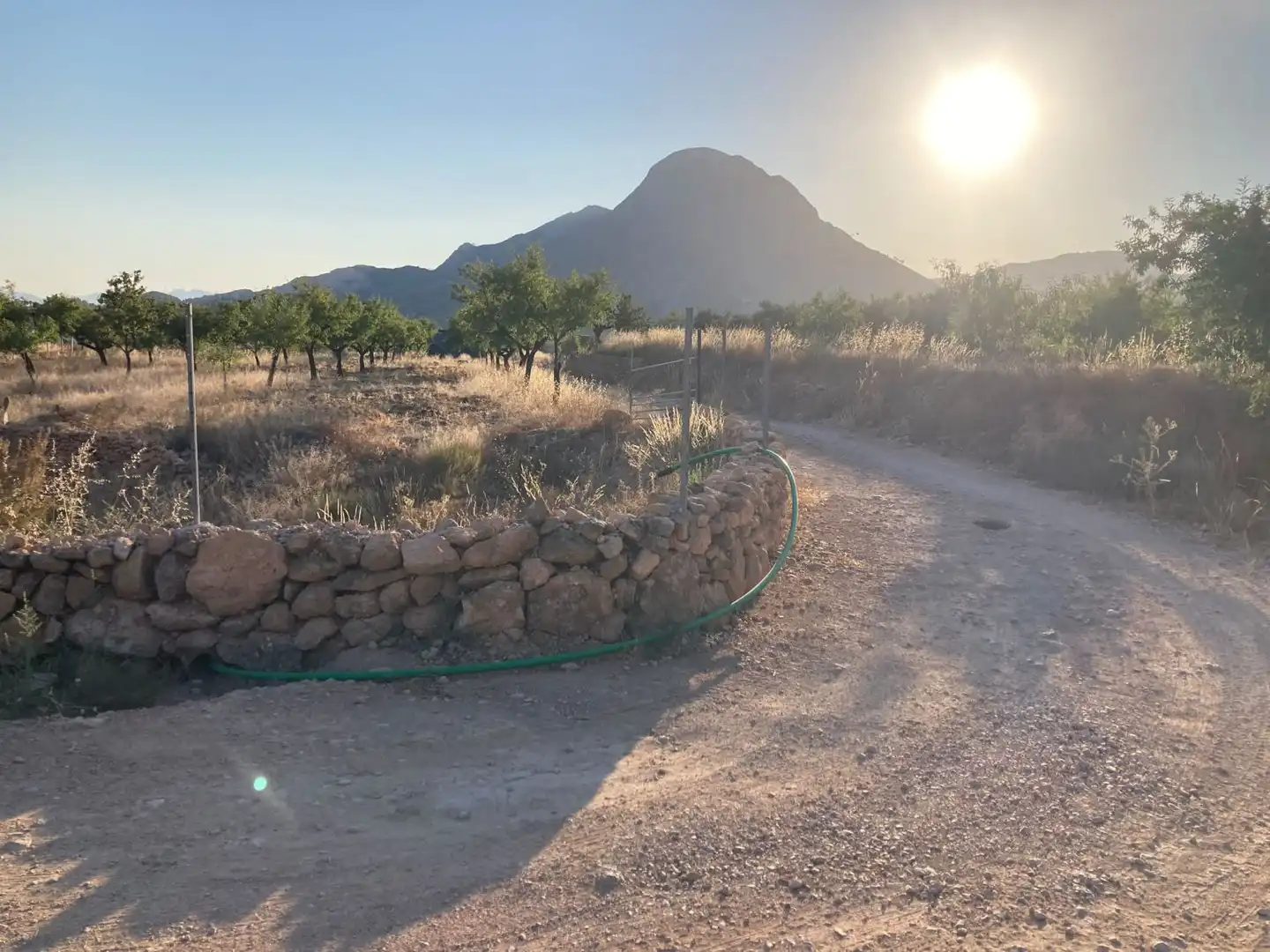 Casa rústica con piscina en venta en La Murada - Los Vicentes, imagen 29