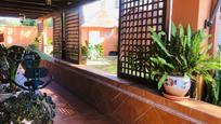Jardí de Casa o xalet en venda en Vélez-Málaga amb Aire condicionat, Calefacció i Jardí privat