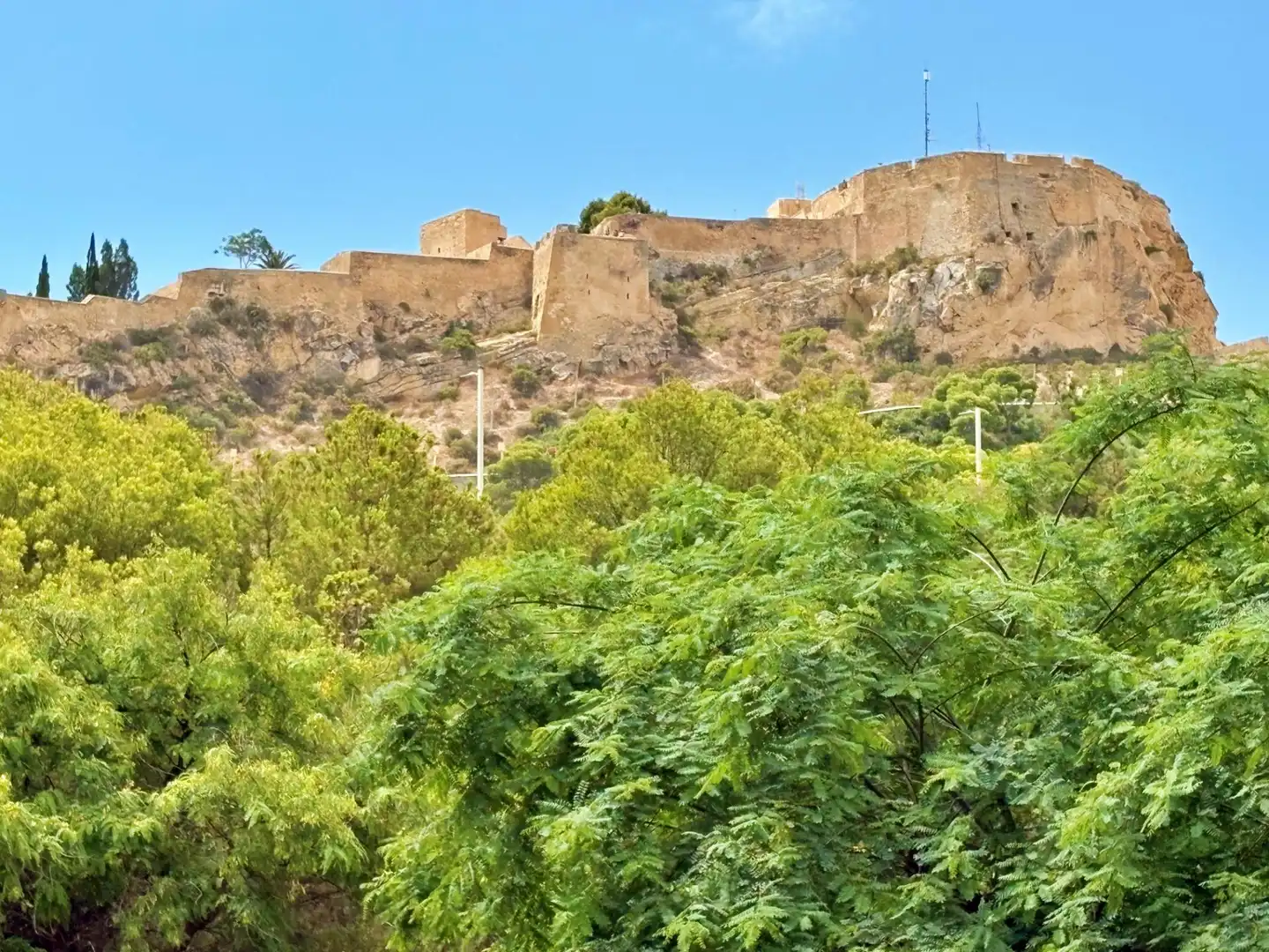 Exterior view of Ground floor for sale in Alicante / Alacant