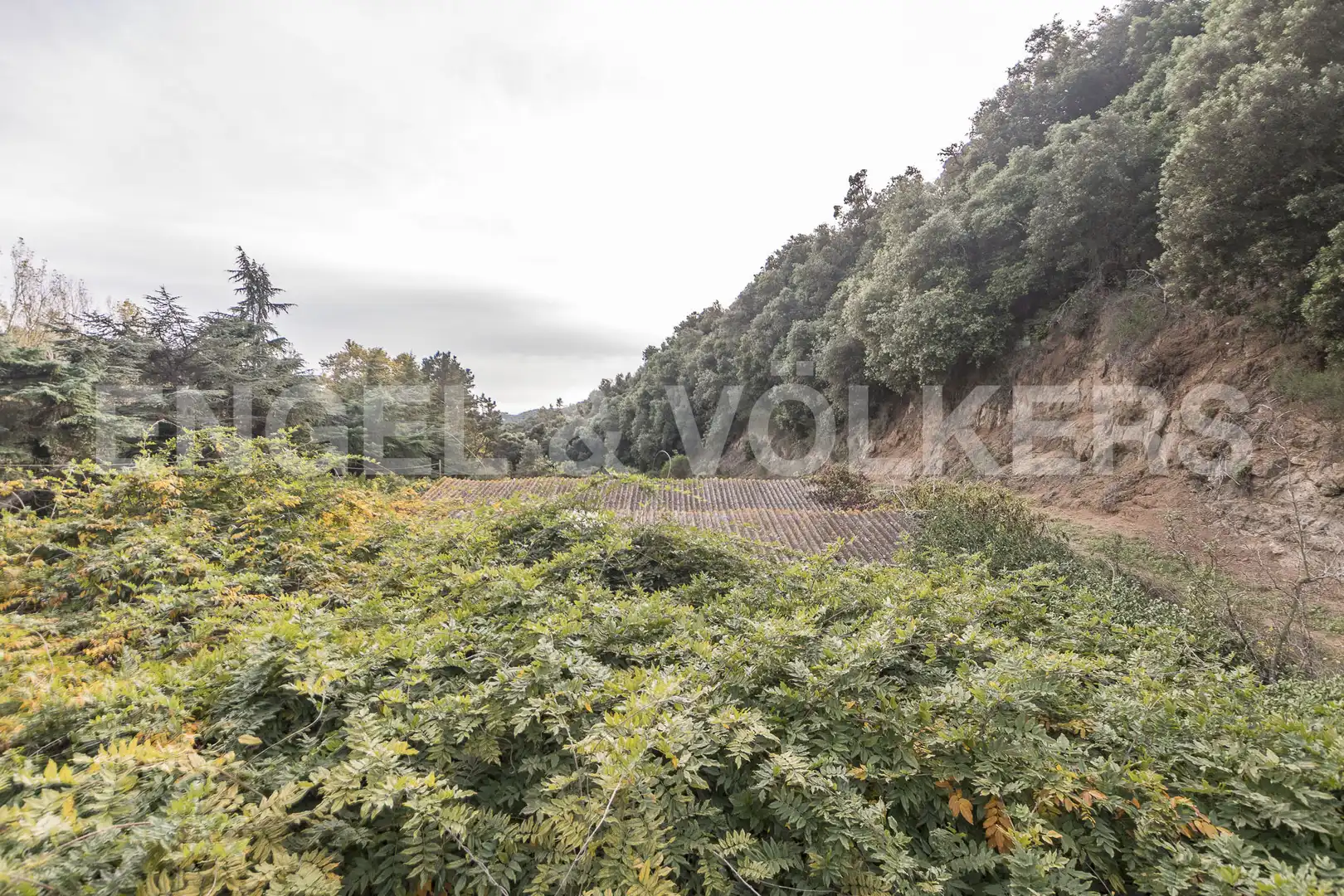 Finca rústica en venta en Sant Cebrià de Vallalta con Calefacción, Jardín privado y Terraza