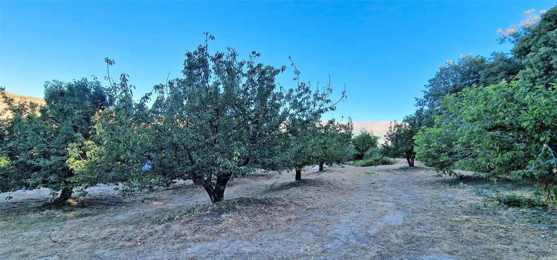 Terreni e lotti in vendita a Aldeanueva de la Vera, imagen 12