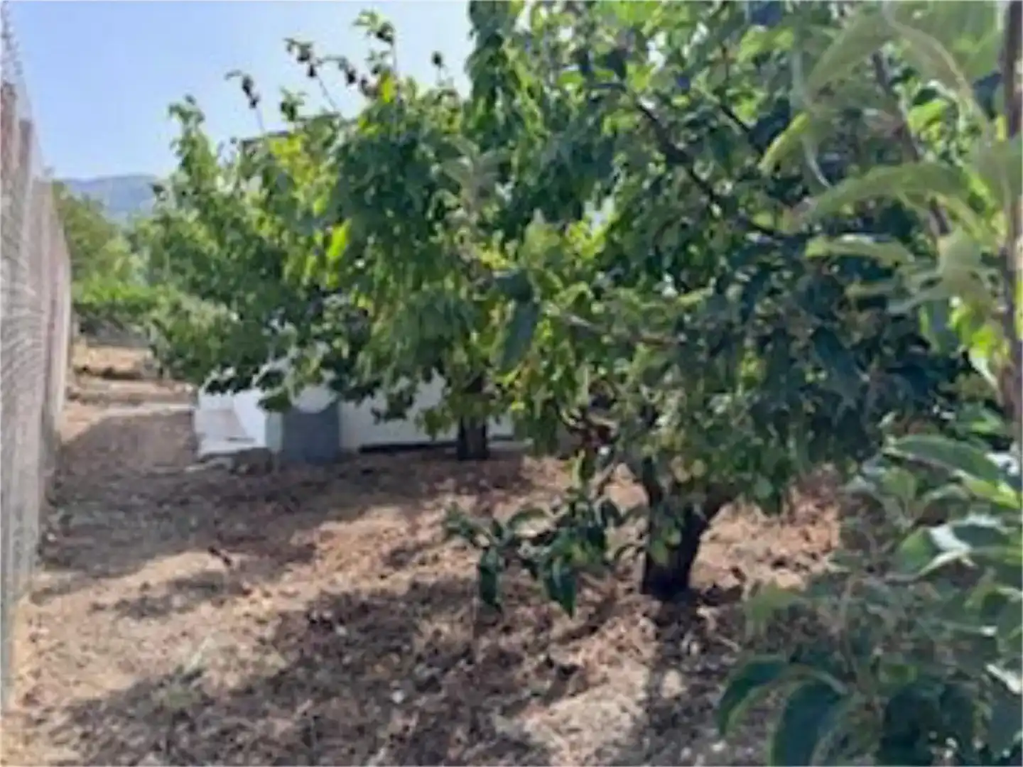Casa o xalet en venda en Valdepeñas de Jaén amb Piscina