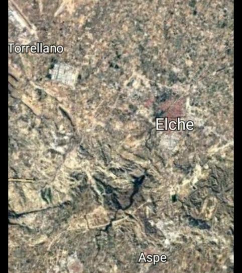 Photo 2 of Industrial buildings for sale in Pedanías Oeste, Aspe