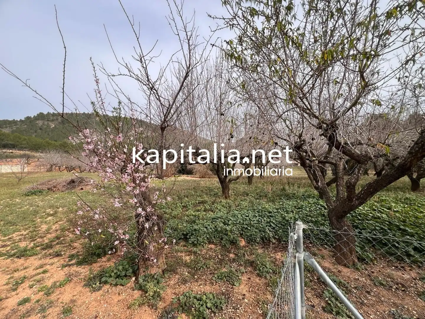 Xalet amb piscina en venda a L'Olleria, imagen 57