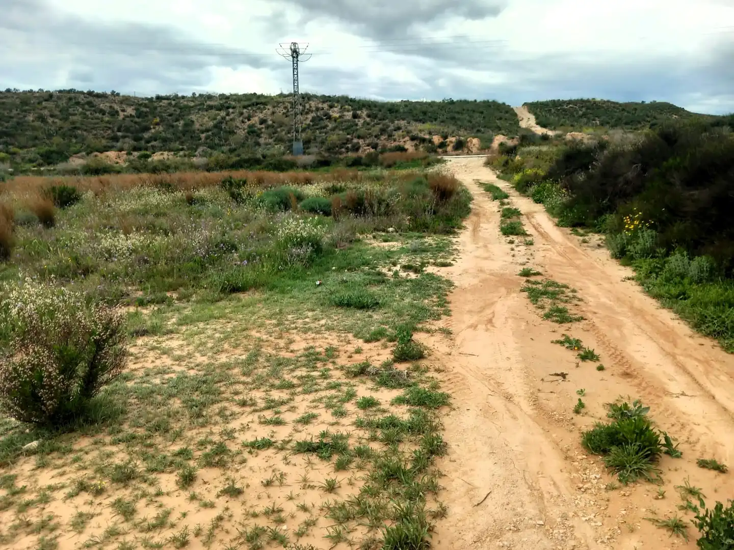 Terreny rústic en venda a Avenida de la Albarda, imagen 3