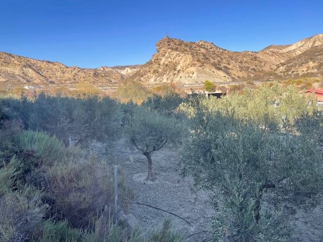 Terreno en Venta en Paraje Alsodux, 5 en Alsodux