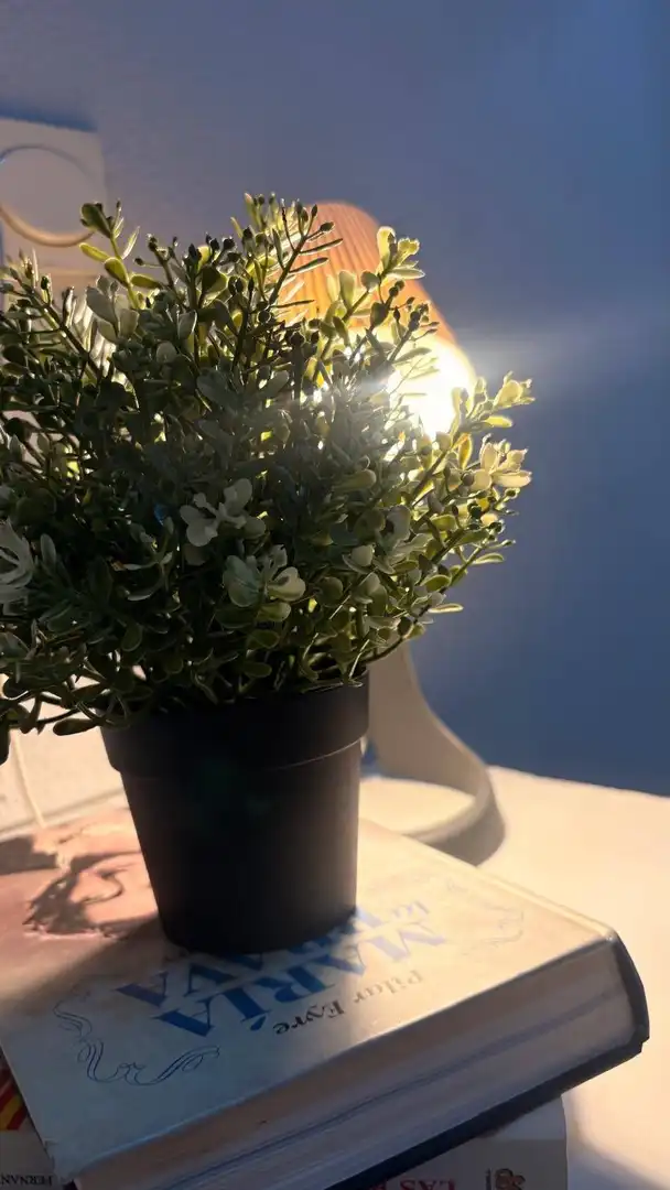 Apartament amb jardí en venda a Pedanías Este, imagen 7
