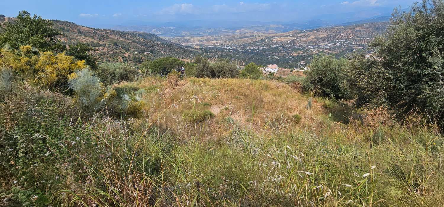 Residential for sale in Alcaucín