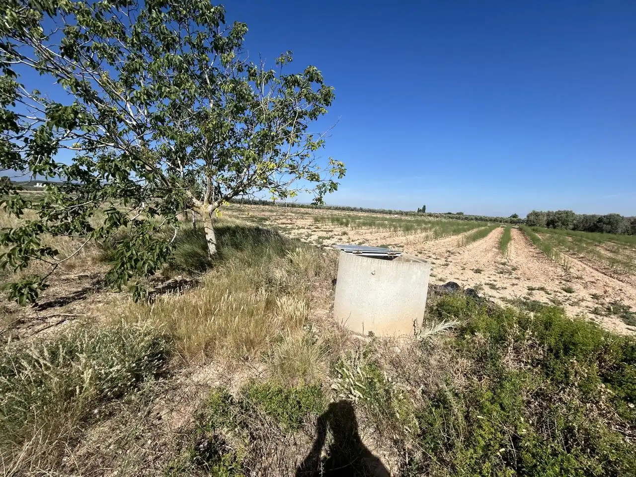Finca rústica en venta en Ablitas