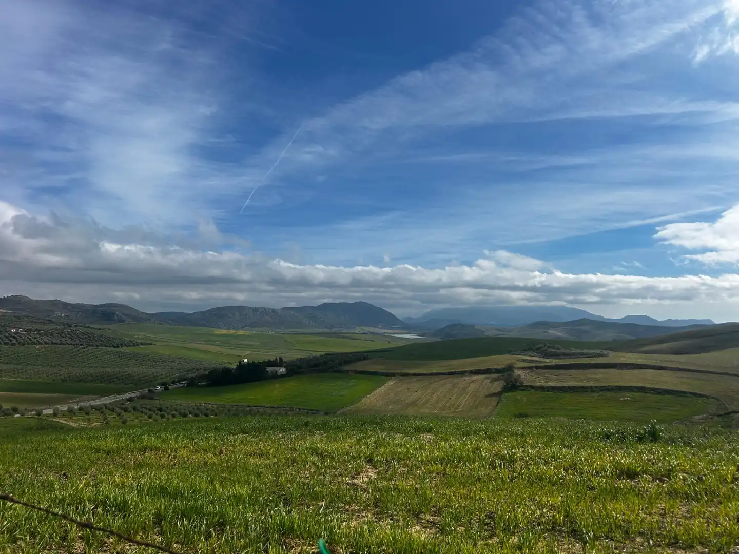 Vista exterior de Finca rústica en venta en Teba con Aire acondicionado, Jardín privado y Piscina