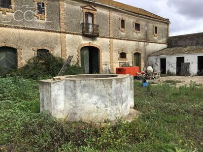 Vista exterior de Finca rústica en venda en Huévar del Aljarafe