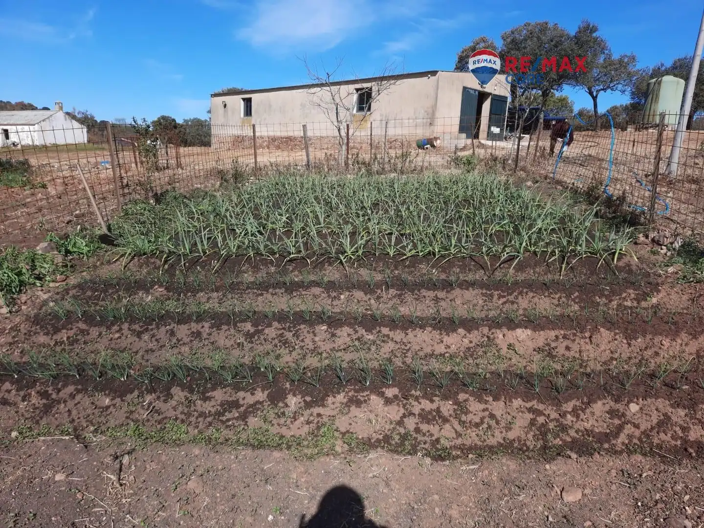 Terreni e lotti in vendita a Alburquerque, imagen 7