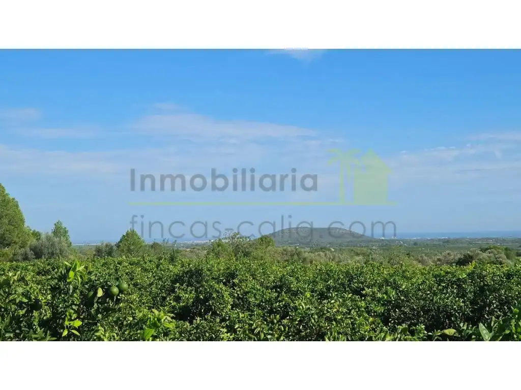 Terreny residencial en venda a Càlig, imagen 11
