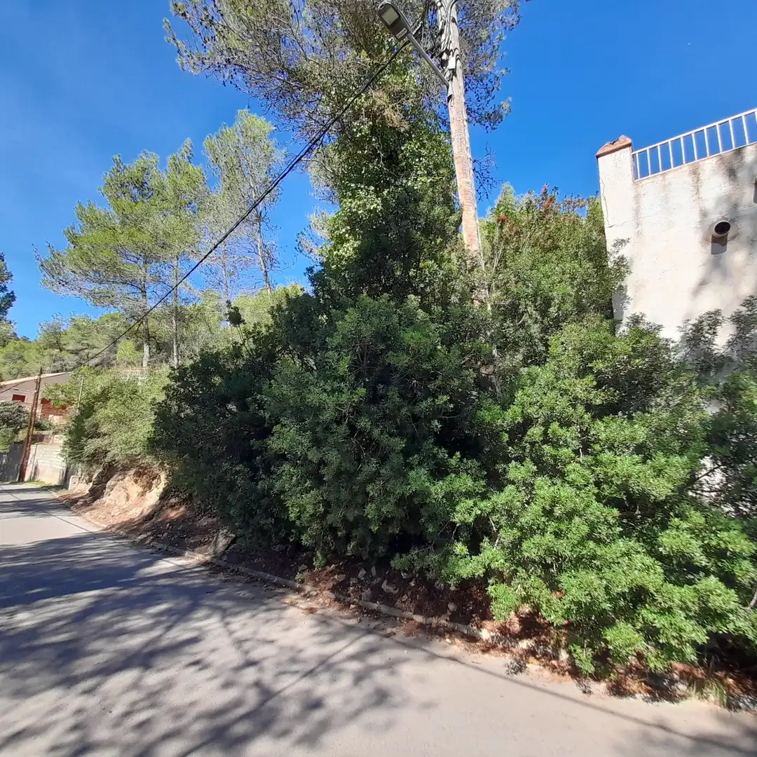 Residential land for sale in Olesa De Bonesvalls, imagen 7