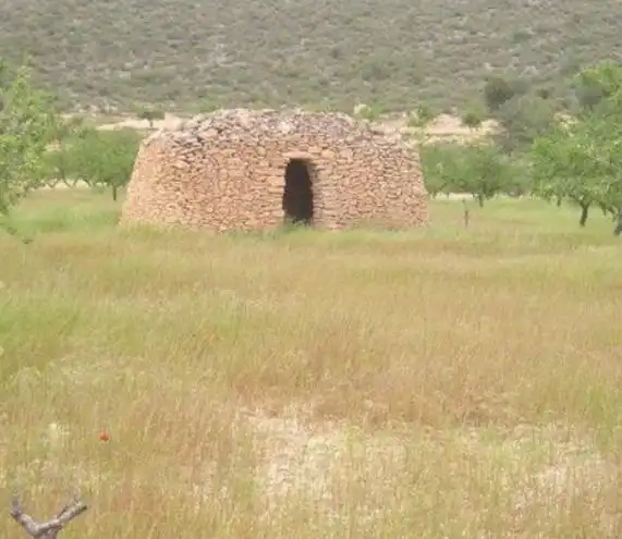 Rustikales Grundstück zum Verkauf in Jumilla, imagen 10
