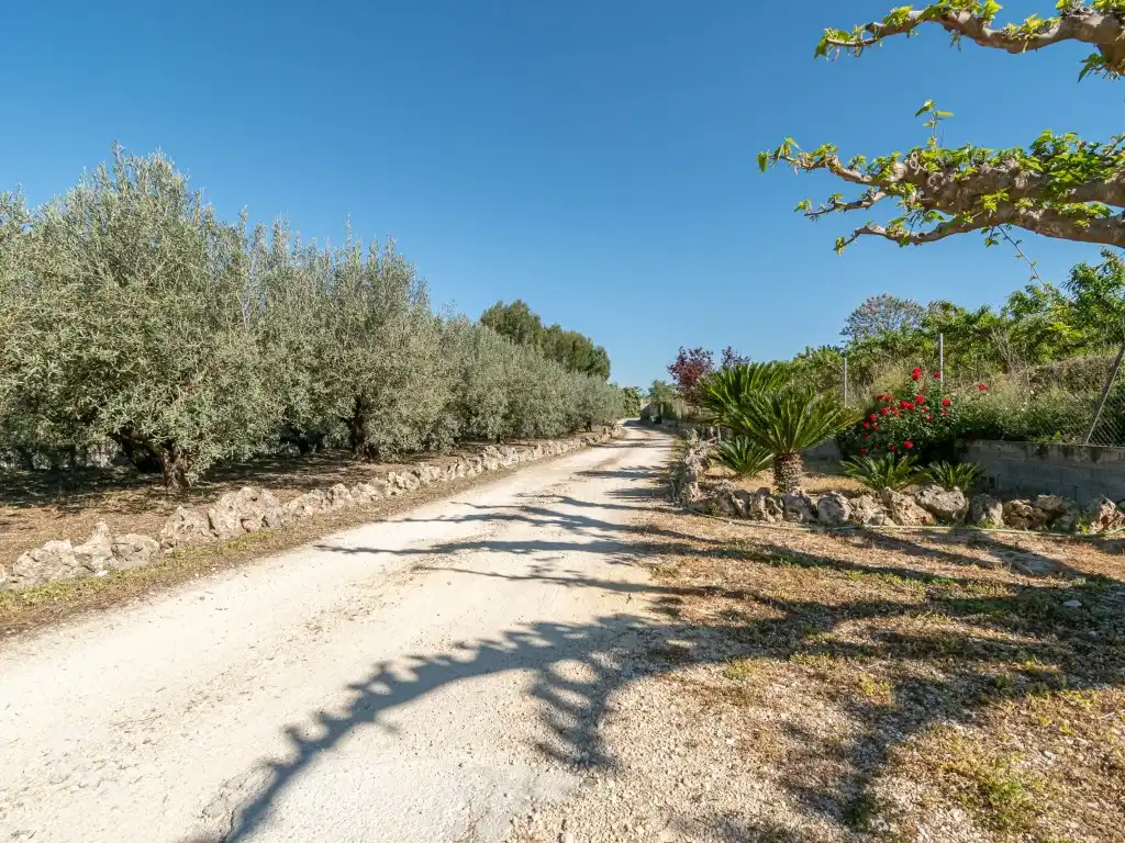 Detached house for sale in Diseminados Diseminados, imagen 87