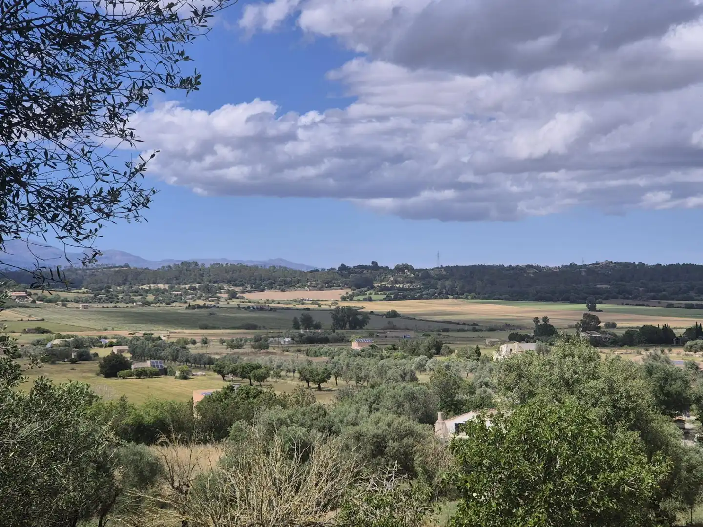 Casa rústica con jardín en venta en Sineu, imagen 15