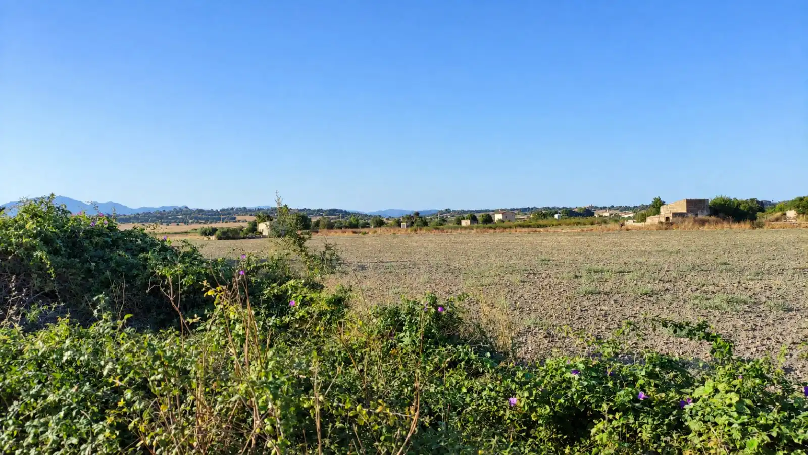 Wohnbaugrundstück zum Verkauf in Santa Margalida Poble, imagen 2