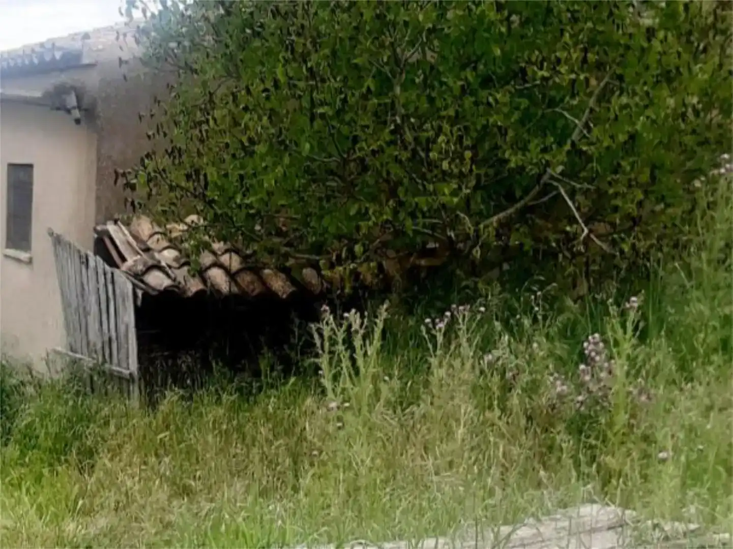 Jardí de Finca rústica en venda en Vezdemarbán