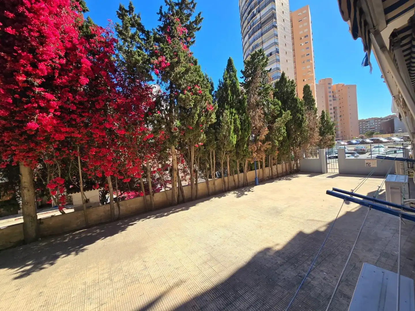 Vista exterior de Estudi en venda en Benidorm amb Aire condicionat, Moblat i Piscina comunitària