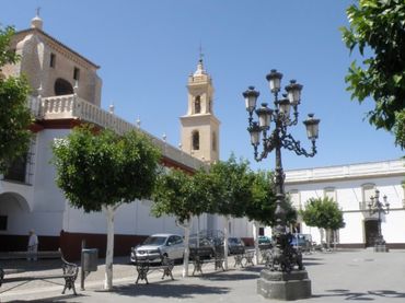 Terreno residenziale in vendita a Olivares