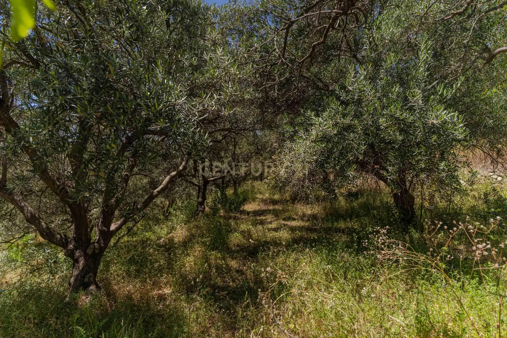 Finca rústica en venta en Carataunas con Jardín privado, Trastero y Piscina