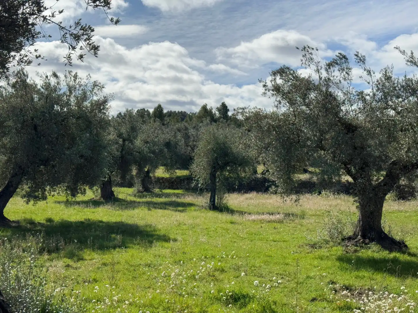 Terreni e lotti in vendita a Valderrobres, imagen 20