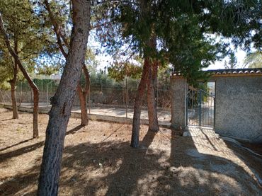Terreno residenziale in vendita a Casco Urbano