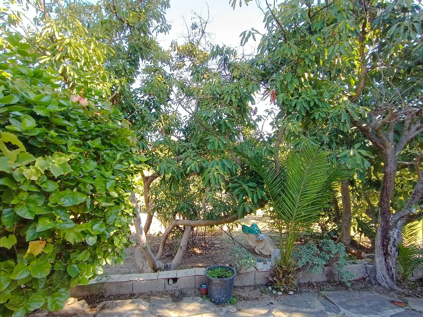 Jardín de Finca rústica en venta en Estepona con Jardín privado, Terraza y Amueblado