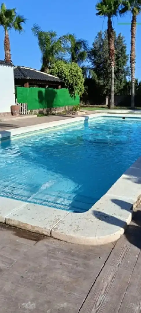 Swimming pool of Detached homes for rent in Elche / Elx  with Air Conditioner, Swimming Pool and Oven