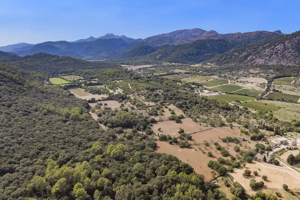 Terreno rustico in vendita a Pollença Poble, imagen 6