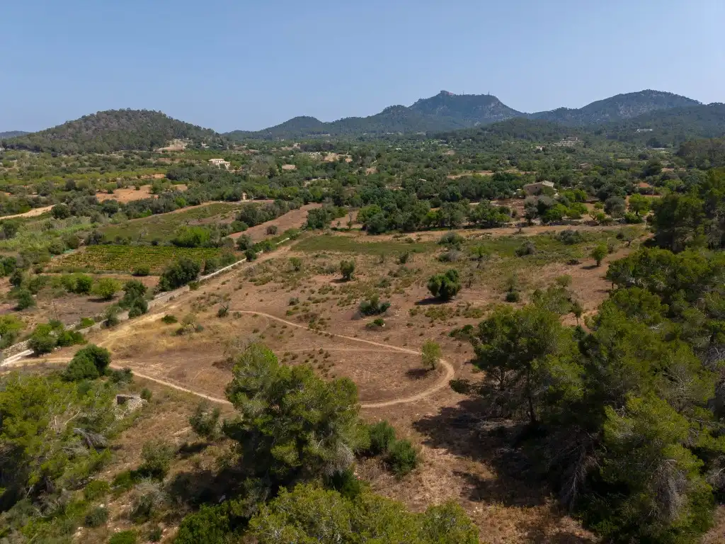 Rural land for sale in Felanitx Poble, imagen 2