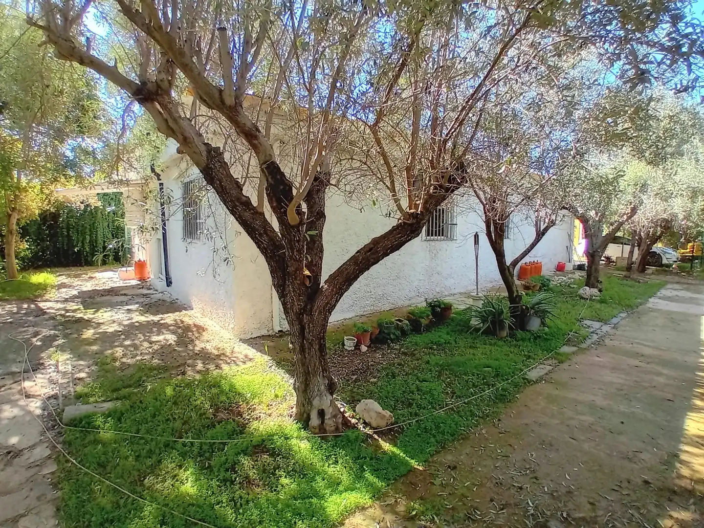 Vista exterior de Casa o xalet en venda en Cheste amb Jardí privat i Terrassa