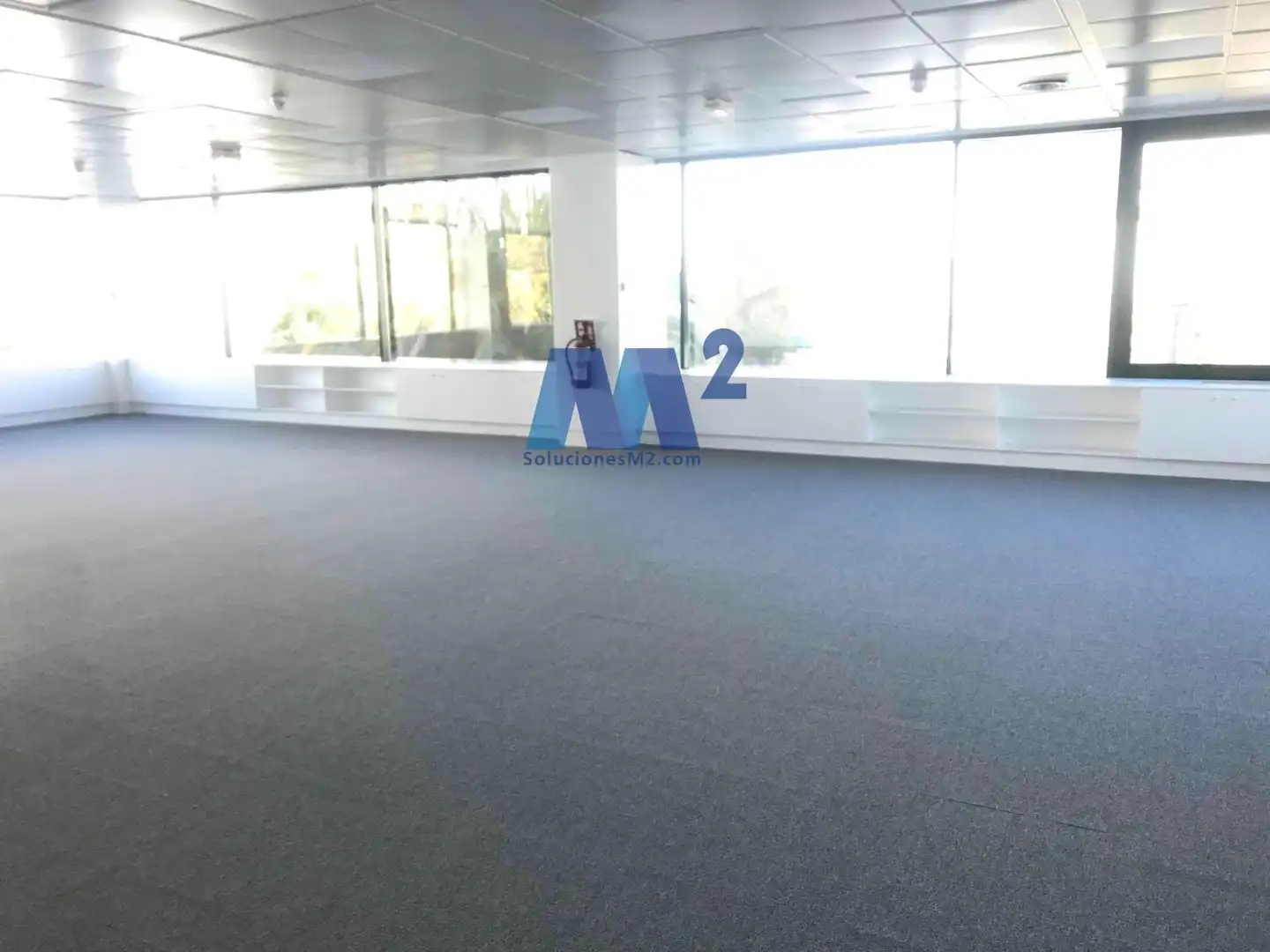 Office space to rent in Europa, imagen 5