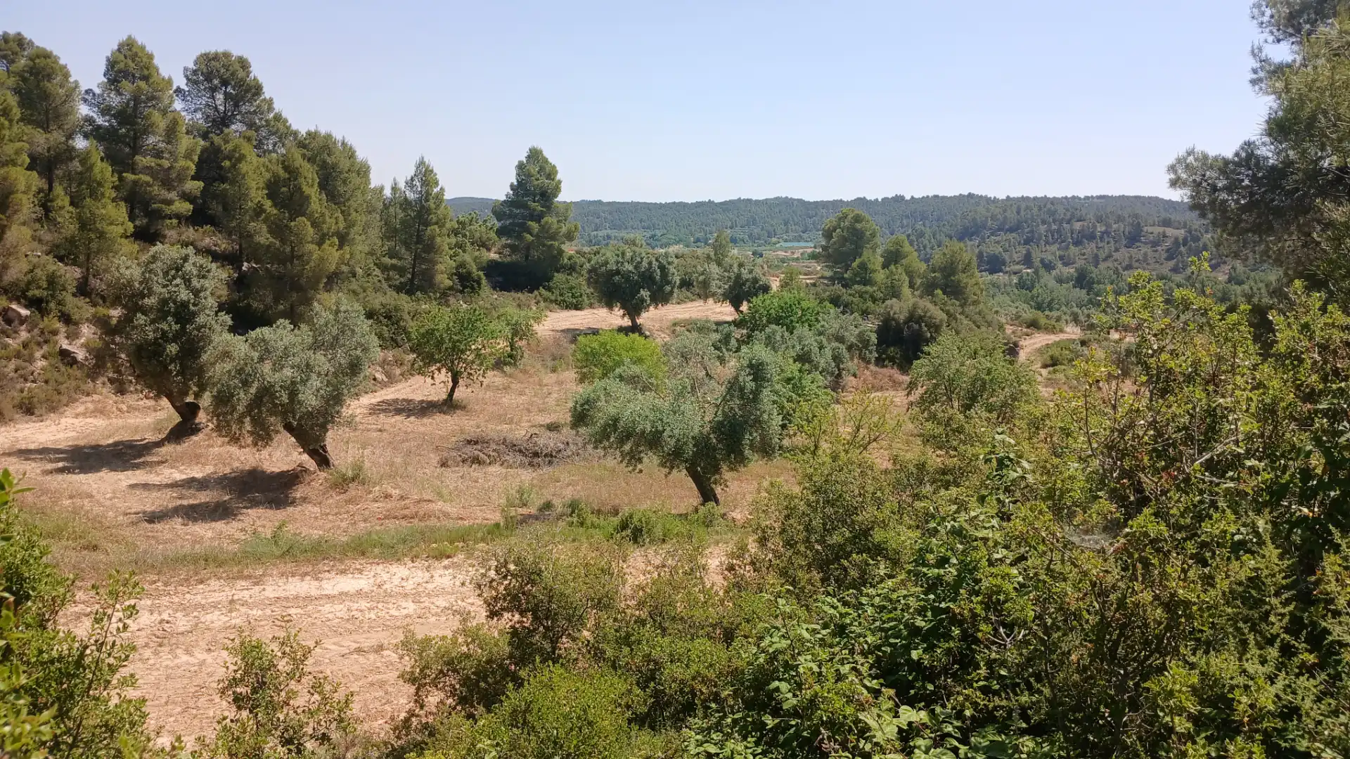 Terreno rustico in vendita a N/A, imagen 4