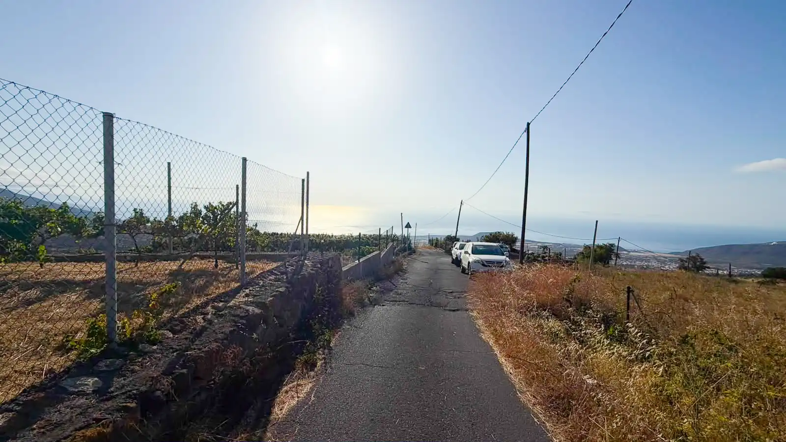 Rural land for sale in Arafo, imagen 4