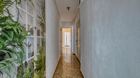 Foto 5 de Pis en venda a Carrer del Raval, Jijona / Xixona, Alicante