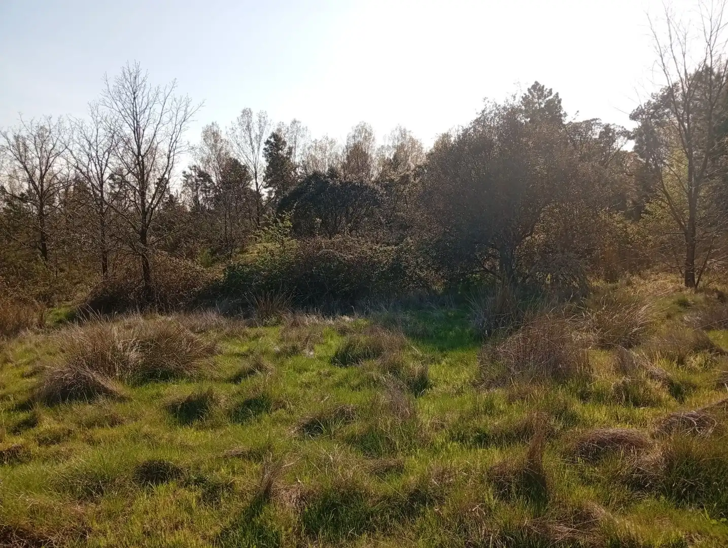 Terreni e lotti in vendita a Villanueva de la Vera, imagen 31