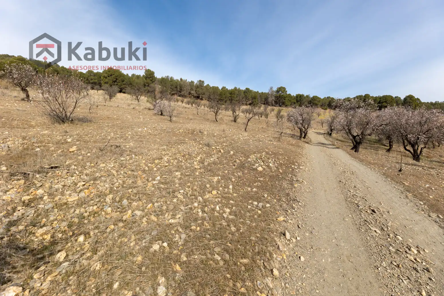 Terreni e lotti in vendita a Guadix - AUTE. VALLE DEL ZALABI, imagen 8