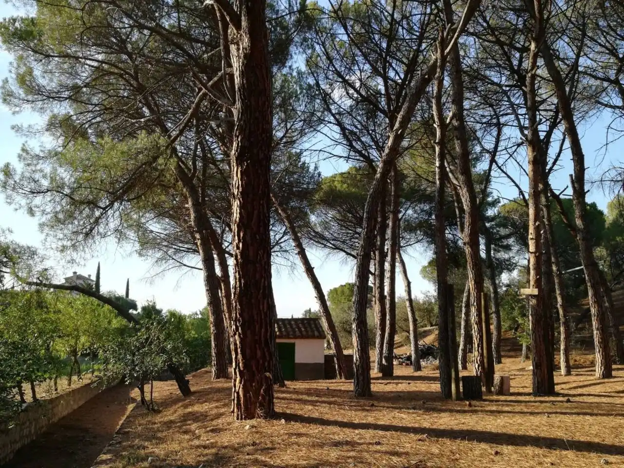 Garden of Buildings for sale in Toledo
