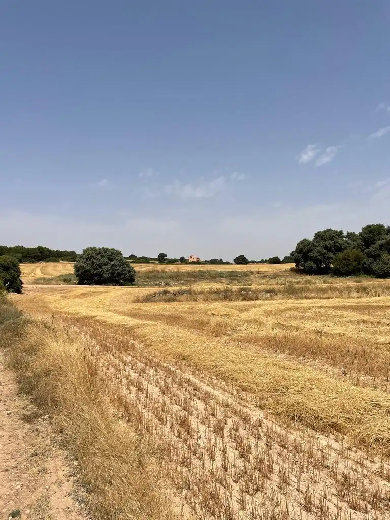 Casa rústica en venda a Almansa, imagen 34