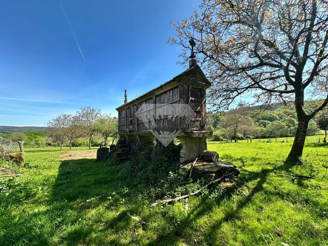 Vista exterior de Casa o chalet en venta en A Estrada  con Jardín privado