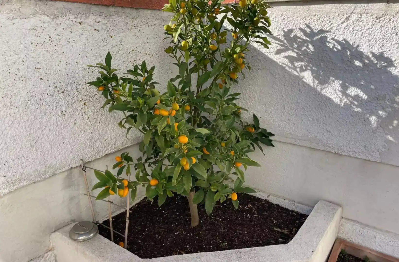 Casa en venta en DE LA GIRALDA, imagen 19