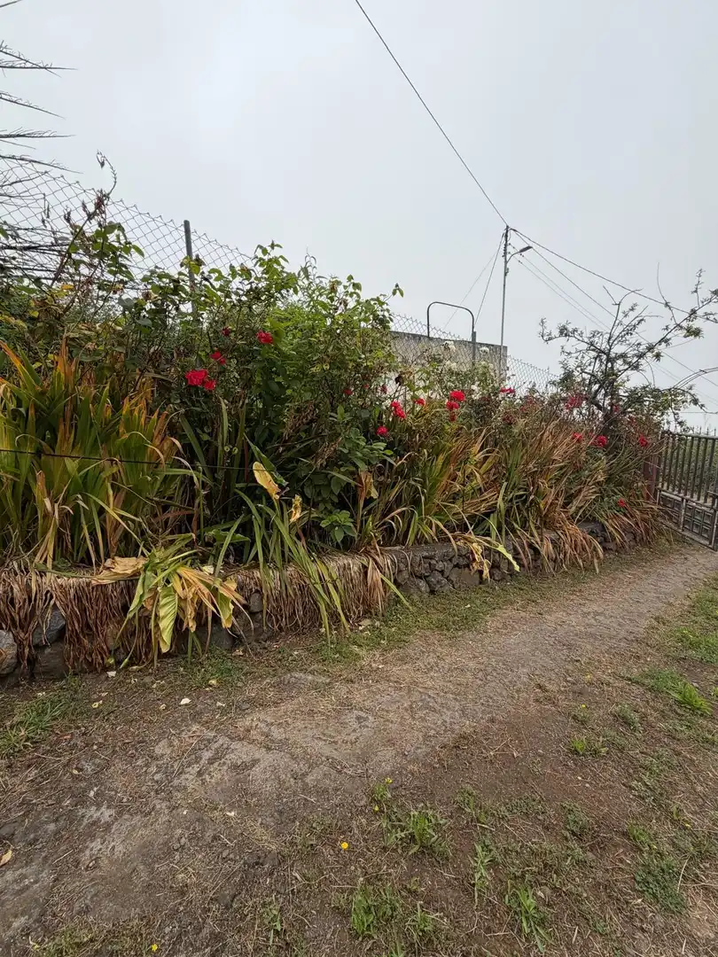 Terreno rustico in vendita a El Bebedero - Pinolere - Aguamansa, imagen 16